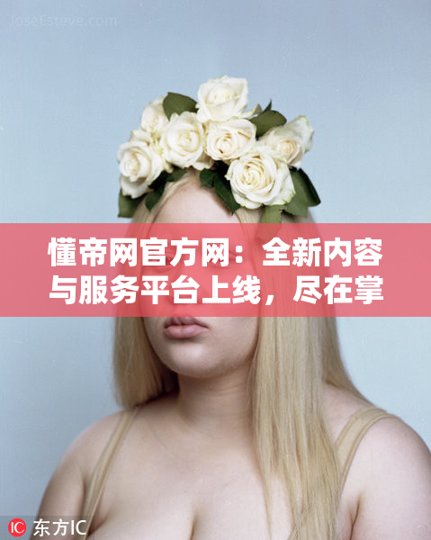 懂帝网官方网：全新内容与服务平台上线，尽在掌握之中！