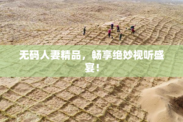无码人妻精品，畅享绝妙视听盛宴！
