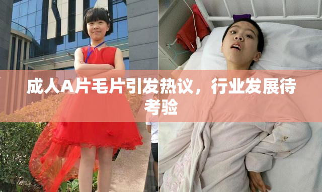 成人A片毛片引发热议，行业发展待考验