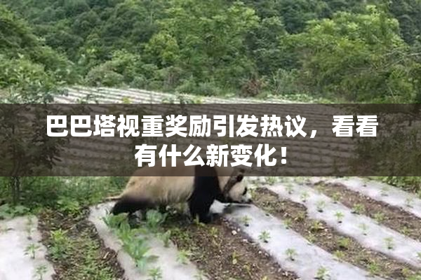 巴巴塔视重奖励引发热议，看看有什么新变化！