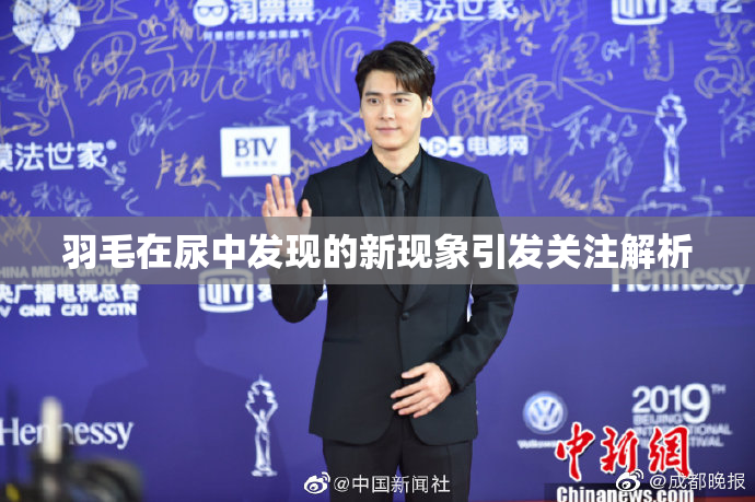 羽毛在尿中发现的新现象引发关注解析
