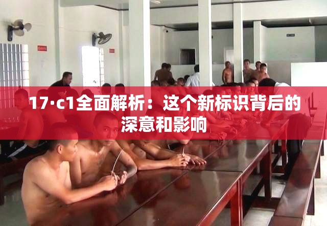 17·c1全面解析：这个新标识背后的深意和影响