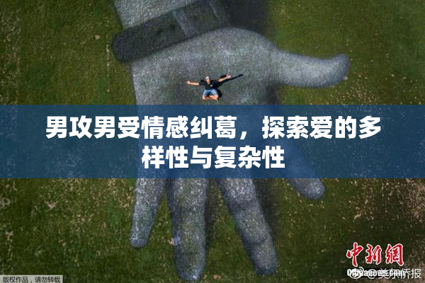 男攻男受情感纠葛，探索爱的多样性与复杂性