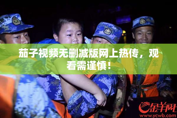 茄子视频无删减版网上热传，观看需谨慎！