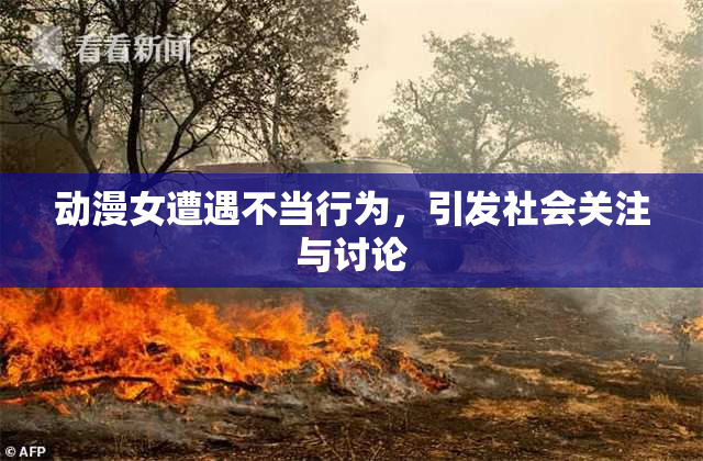 动漫女遭遇不当行为，引发社会关注与讨论