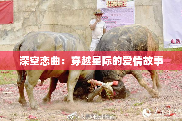 深空恋曲：穿越星际的爱情故事