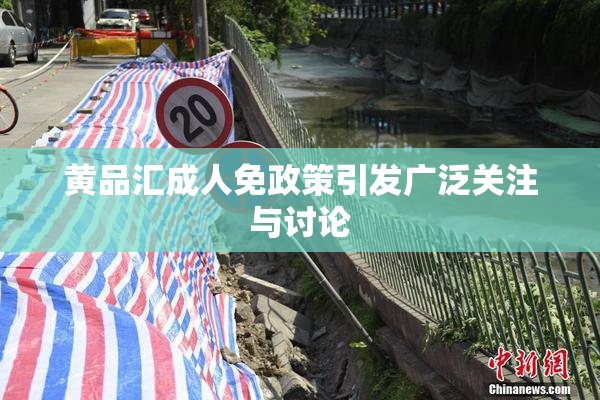 黄品汇成人免政策引发广泛关注与讨论