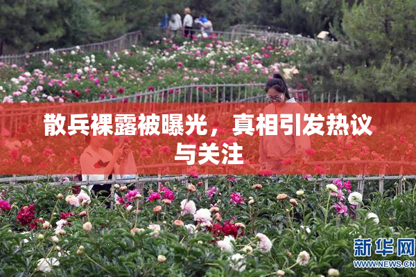 散兵裸露被曝光，真相引发热议与关注