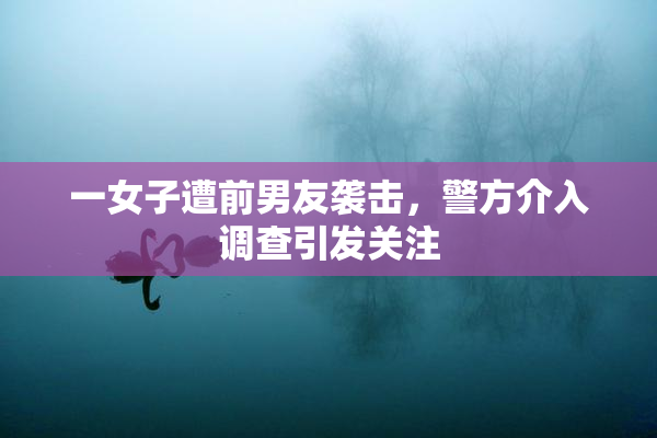 一女子遭前男友袭击，警方介入调查引发关注