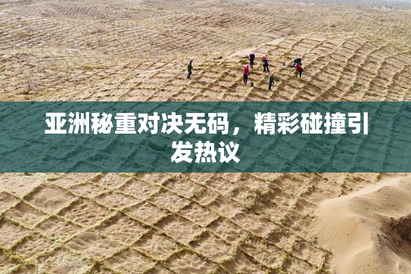 亚洲秘重对决无码，精彩碰撞引发热议