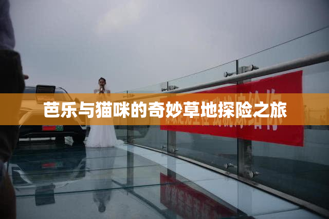 芭乐与猫咪的奇妙草地探险之旅