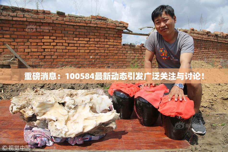 重磅消息：100584最新动态引发广泛关注与讨论！