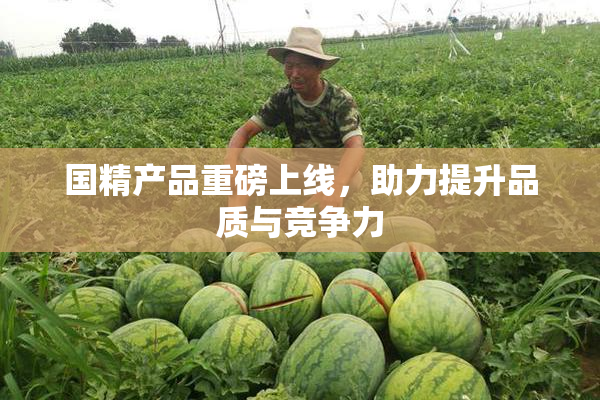 国精产品重磅上线，助力提升品质与竞争力