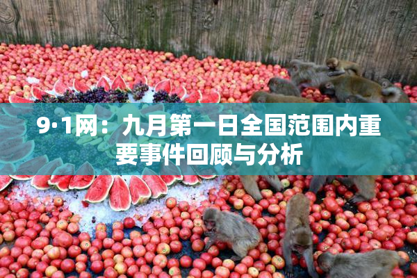 9·1网：九月第一日全国范围内重要事件回顾与分析