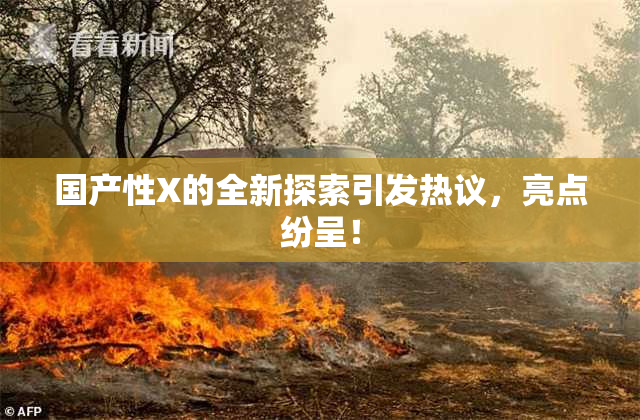 国产性X的全新探索引发热议，亮点纷呈！