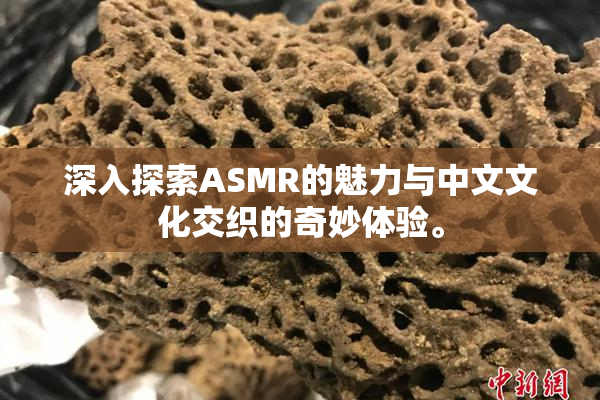 深入探索ASMR的魅力与中文文化交织的奇妙体验。
