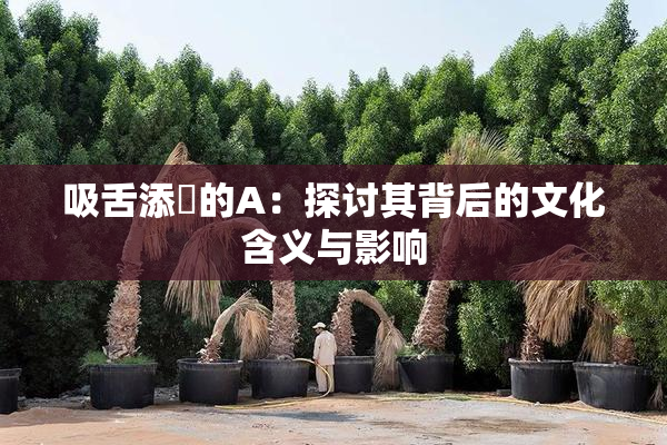 吸舌添泬的A：探讨其背后的文化含义与影响
