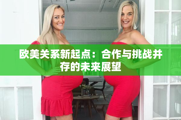 欧美关系新起点：合作与挑战并存的未来展望