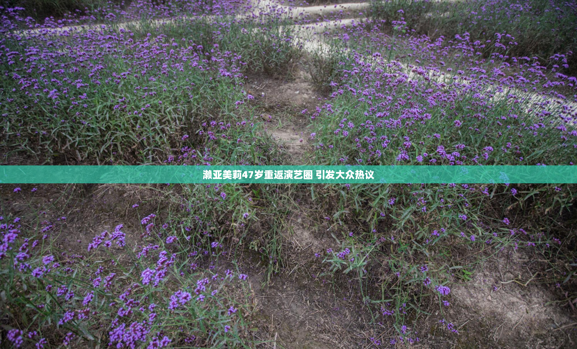濑亚美莉47岁重返演艺圈 引发大众热议