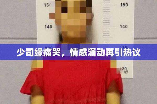少司缘痛哭，情感涌动再引热议