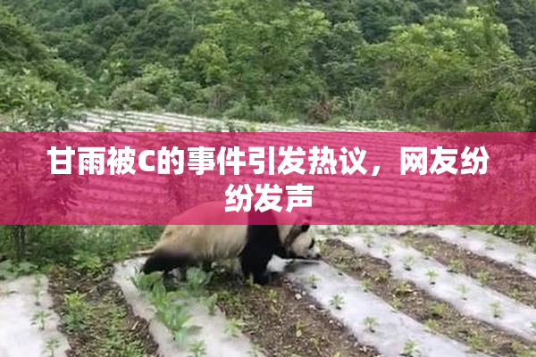 甘雨被C的事件引发热议，网友纷纷发声