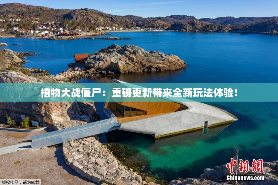 植物大战僵尸：重磅更新带来全新玩法体验！