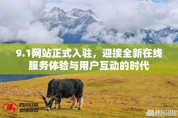 9.1网站正式入驻，迎接全新在线服务体验与用户互动的时代