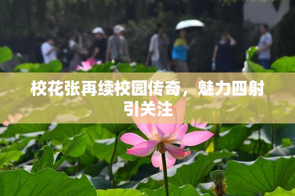 校花张再续校园传奇，魅力四射引关注