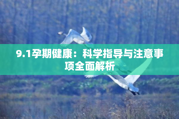9.1孕期健康：科学指导与注意事项全面解析