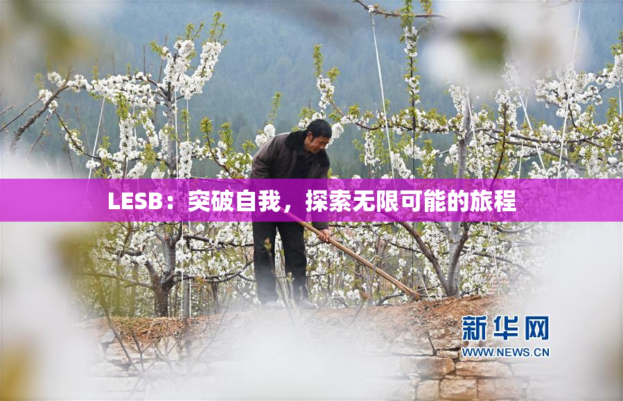 LESB：突破自我，探索无限可能的旅程