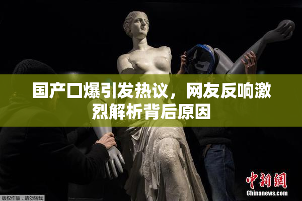 国产囗爆引发热议，网友反响激烈解析背后原因