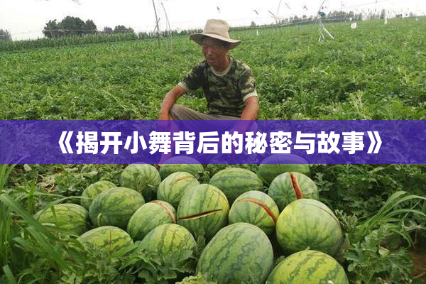 《揭开小舞背后的秘密与故事》