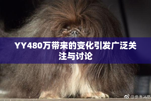 YY480万带来的变化引发广泛关注与讨论