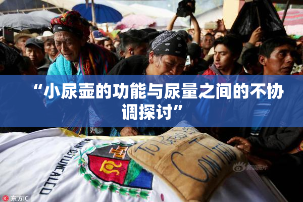 “小尿壶的功能与尿量之间的不协调探讨”