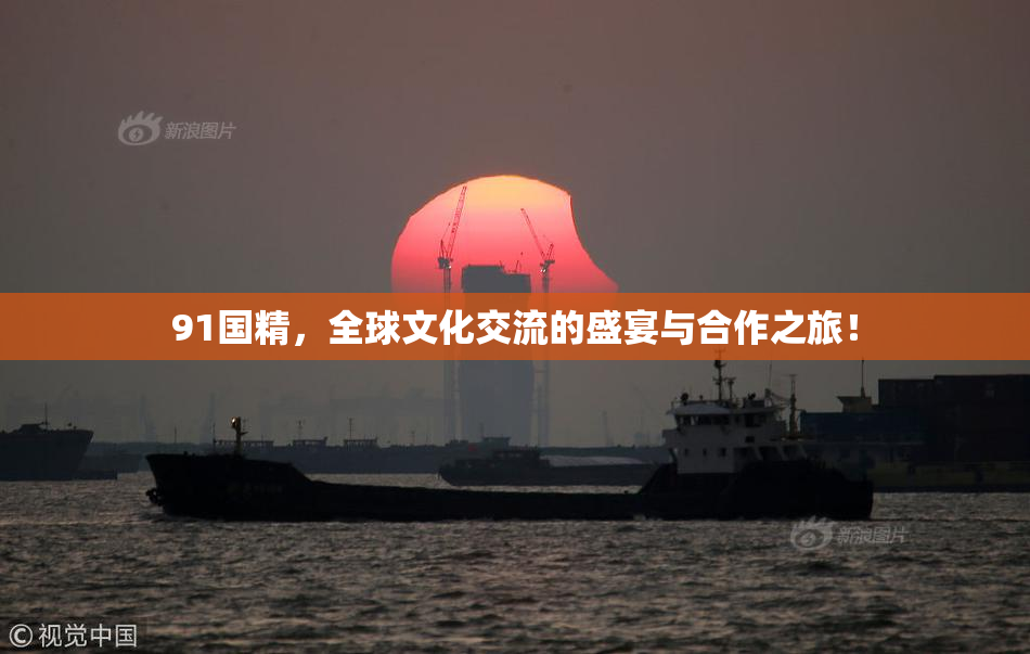 91国精，全球文化交流的盛宴与合作之旅！