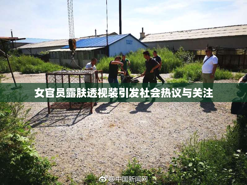 女官员露肤透视装引发社会热议与关注