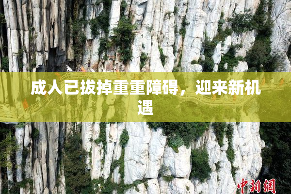成人已拔掉重重障碍，迎来新机遇