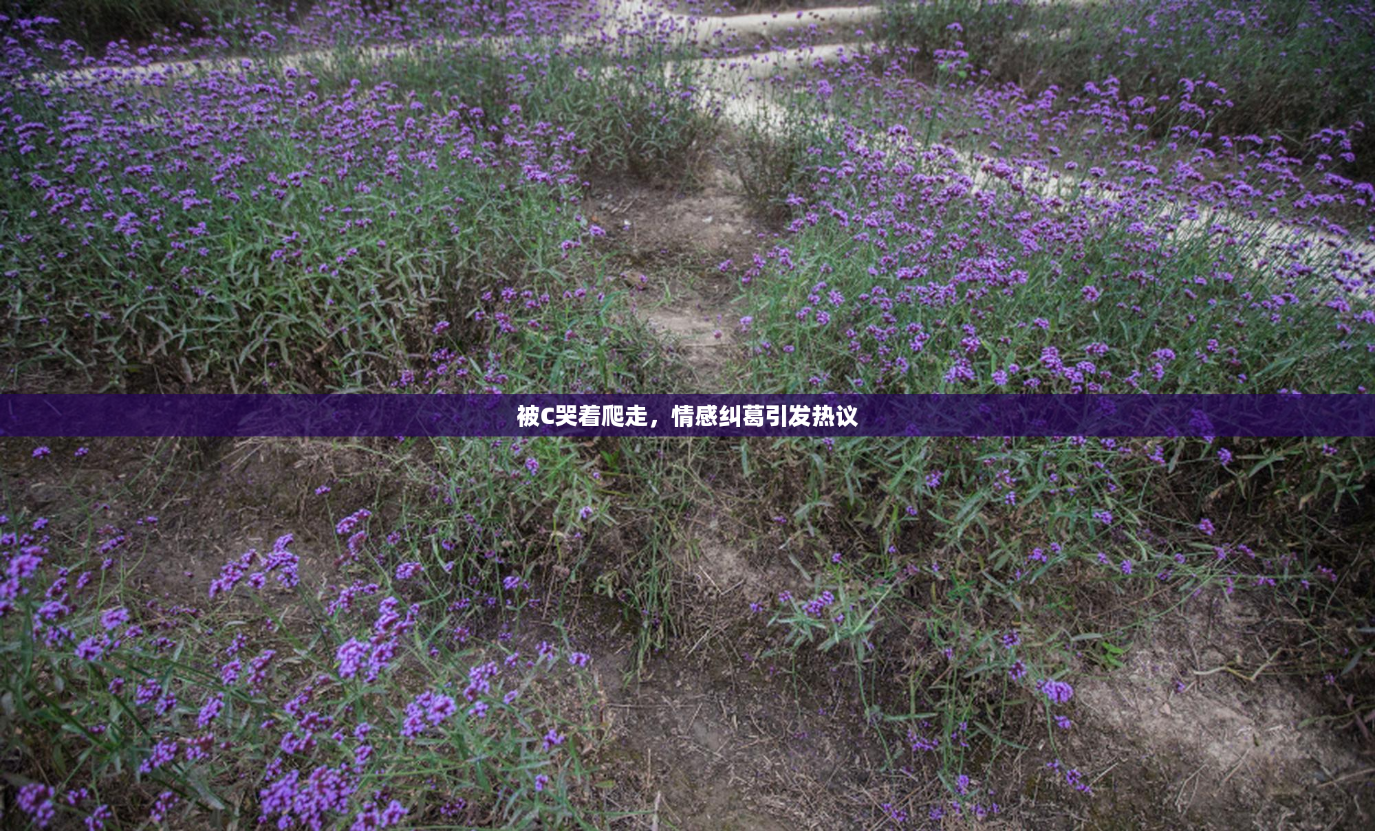 被C哭着爬走，情感纠葛引发热议