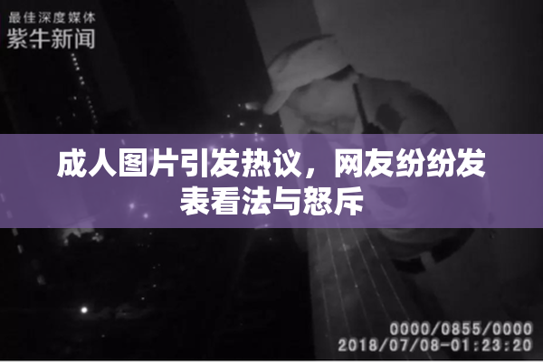 成人图片引发热议，网友纷纷发表看法与怒斥