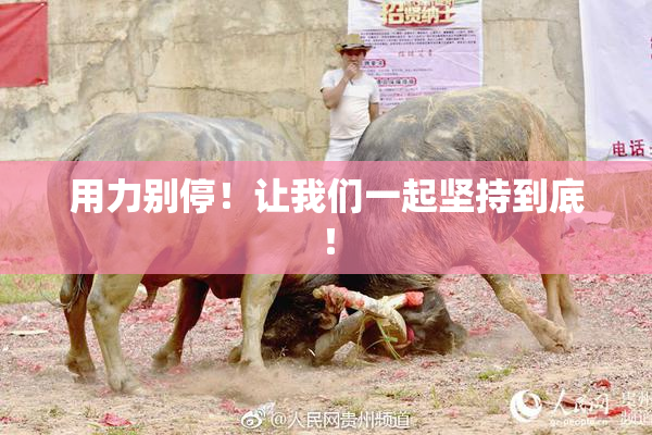 用力别停！让我们一起坚持到底！