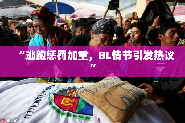 “逃跑惩罚加重，BL情节引发热议”