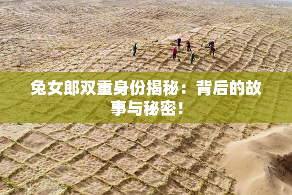 兔女郎双重身份揭秘：背后的故事与秘密！