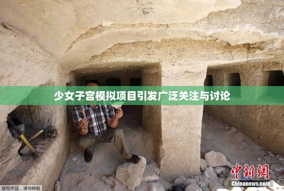 少女子宫模拟项目引发广泛关注与讨论
