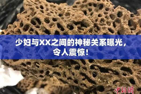 少妇与XX之间的神秘关系曝光，令人震惊！