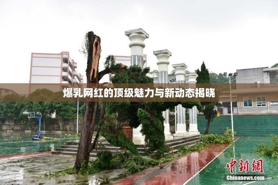 爆乳网红的顶级魅力与新动态揭晓