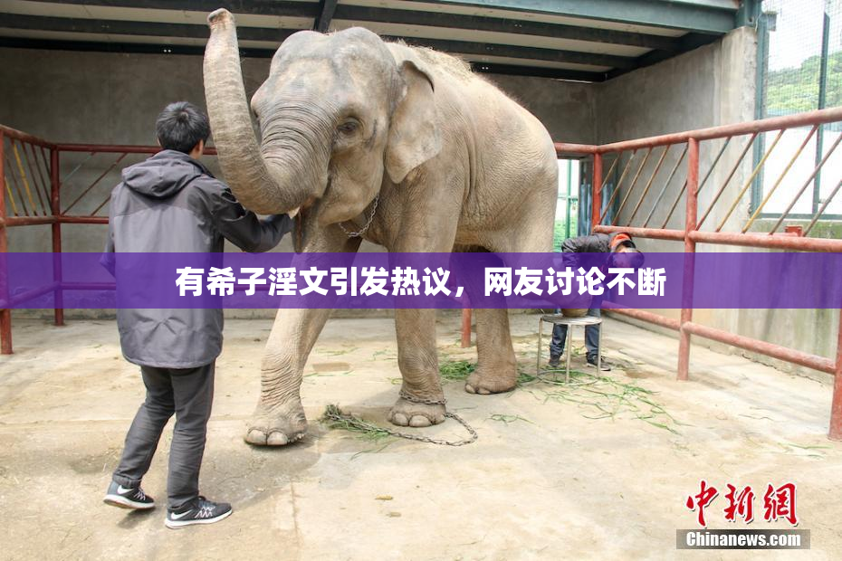 有希子淫文引发热议，网友讨论不断