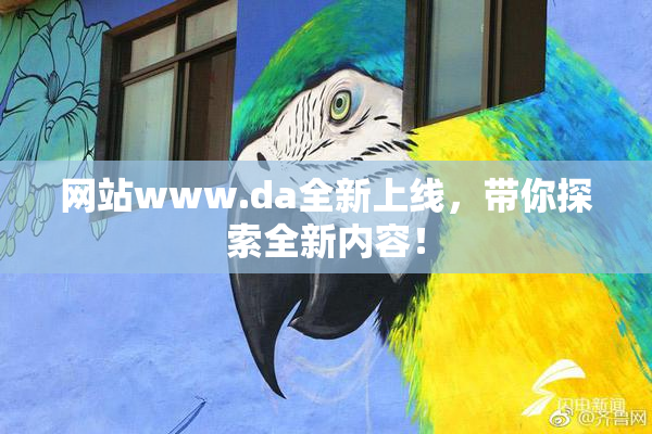 网站www.da全新上线，带你探索全新内容！