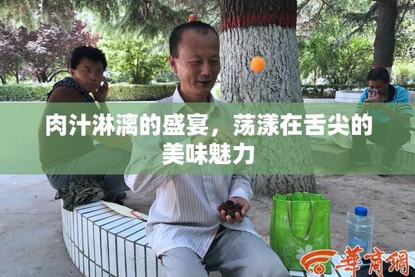 肉汁淋漓的盛宴，荡漾在舌尖的美味魅力