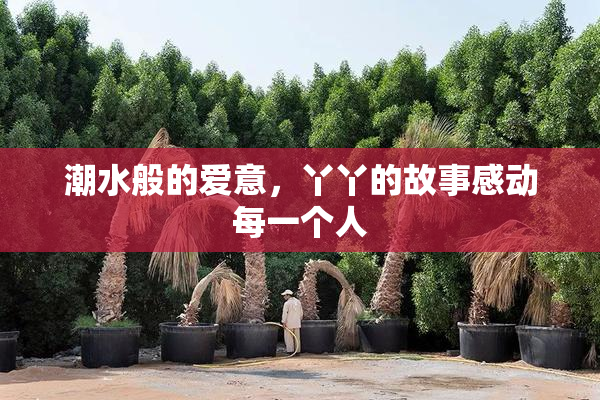 潮水般的爱意，丫丫的故事感动每一个人