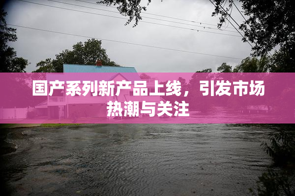 国产系列新产品上线，引发市场热潮与关注